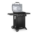GEM™ 310 Shadow